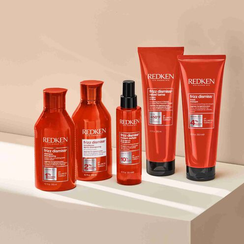 FRIZZ DISMISS - Redken | L'Oréal Partner Shop